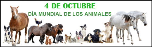 dia-mudial