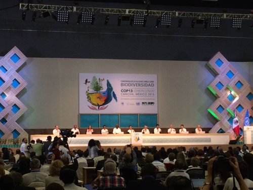 cop-13