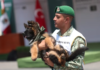 Perro Pastor Aleman donado de Turquía a Mexico llamado Arkadas