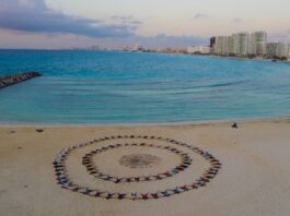 Mandala elaborado con los participantes está obra artística fue conceptuada por César Barrios con fotografía de Miguel González.